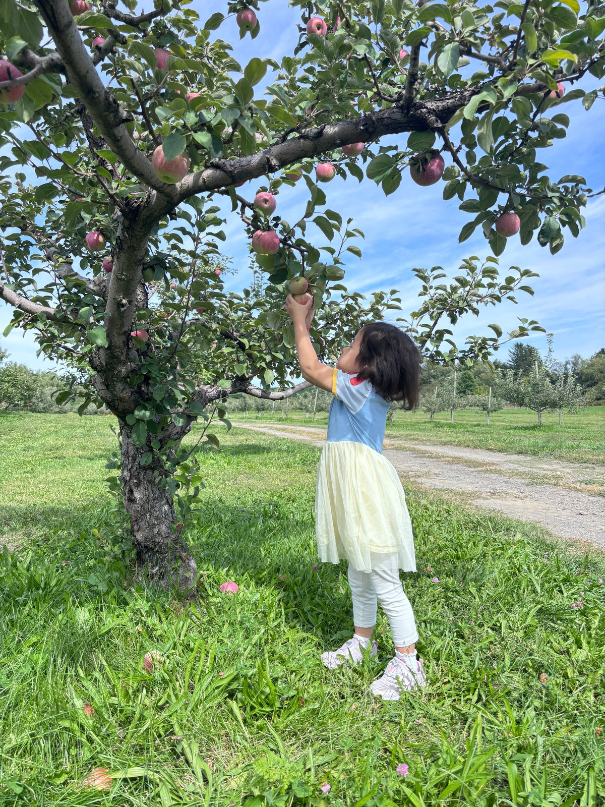Do Kids Need Sunscreen for Apple Picking?