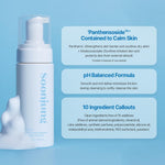 Etude SoonJung pH 6.5 Whip Cleanser