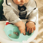 Silicone Steamer with Lid / Mini Baking Tray / Snack Bowl - Umma Bear Shop